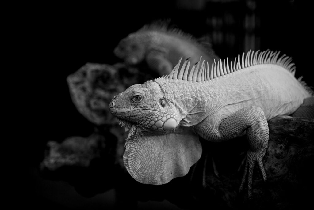 クオカードの買取相場はどのくらい？