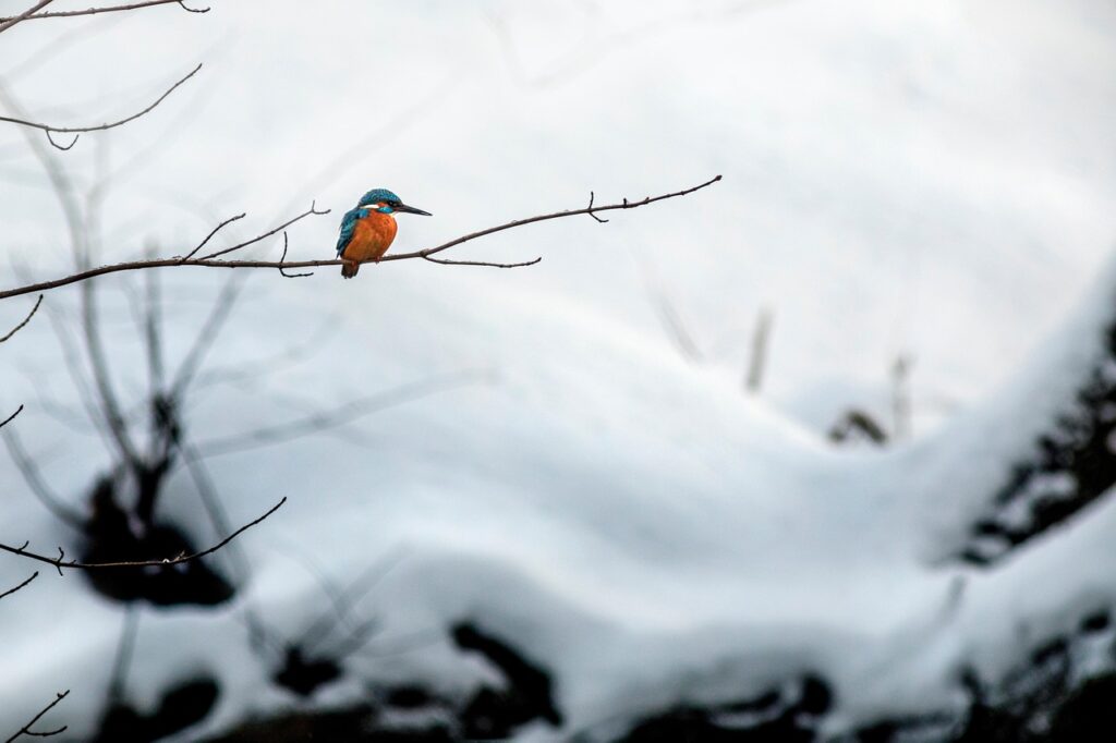 全国共通商品券の買取を宅配で利用するメリットは？