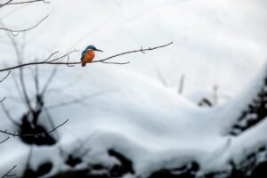 全国共通商品券の買取を宅配で利用するメリットは？