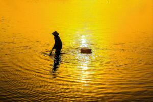 宅配買取で未開封食品をお得に売る方法は？