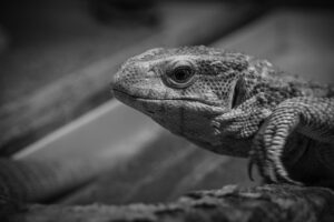 宅配買取とフリマアプリの比較でどちらがお得なの？