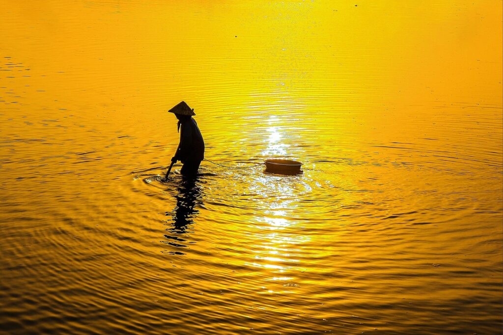 宅配買取の料金比較でお得なサービスはどれですか？