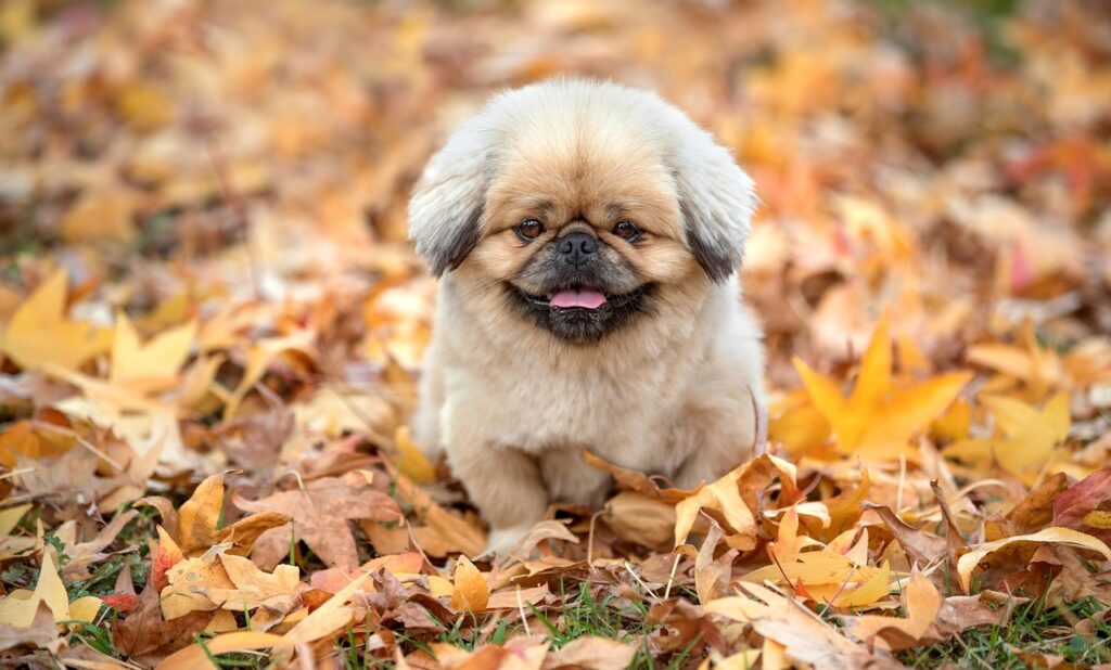 宅配買取の評判を比較する際に注意すべきポイントは？