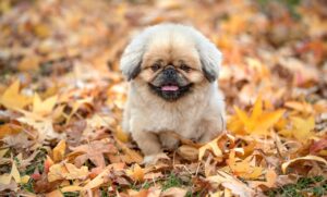 宅配買取の評判を比較する際に注意すべきポイントは？