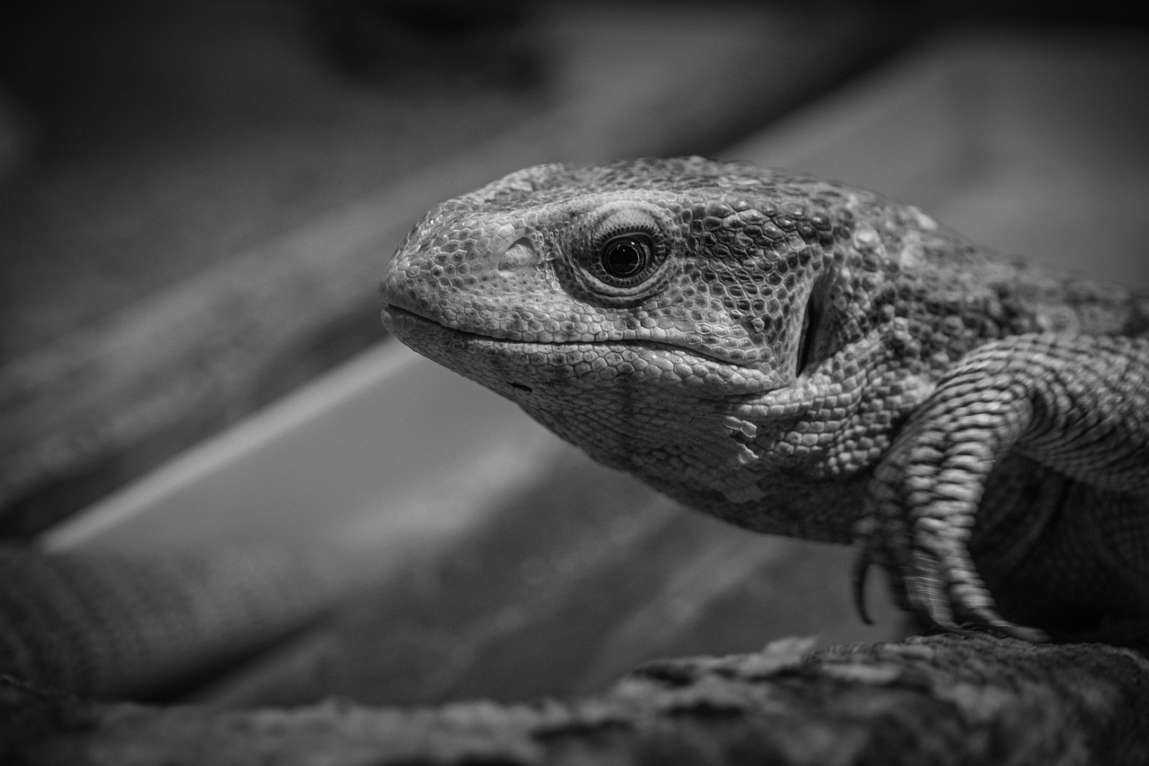 引越し前の断捨離で得られる宅配買取のメリットは？