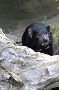 悪質な買取業者を見分けるためのポイントは？