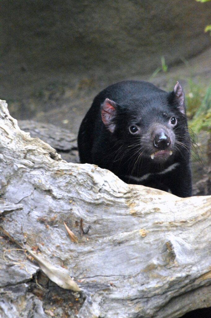 悪質な買取業者を見分けるためのポイントは？