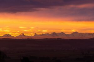 贈答品を宅配で早く送る方法は？